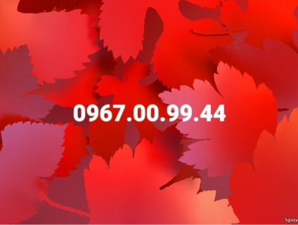 Bán sim số cặp (0967.00.99.44)