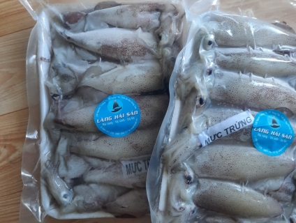 Mực trứng đến từ vũng tàu 10-12 con trên một kg
