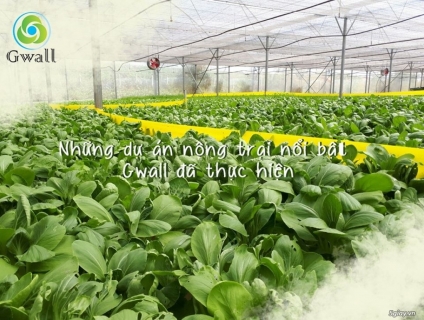GWALL cung cấp phân bón thủy canh quy mô hộ gia đình và nông trại