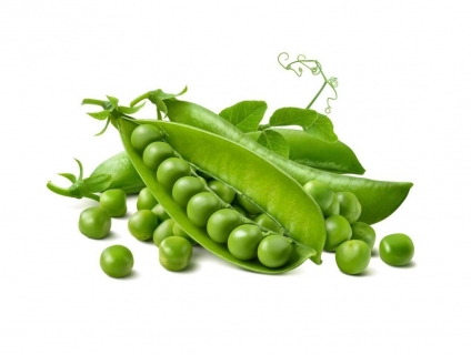 Tổng Hợp Các Loại Hạt Đậu Tươi Đà Lạt