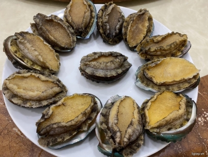 Cảnh báo bào ngư giá rẻ