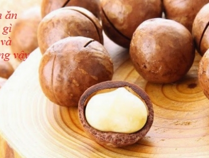 Hạt Macca Tươi tốt cho sức khỏe như thế nào?