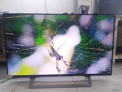 Internet Tivi Sony 43 inch KDL-43W750D