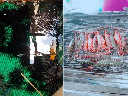 Nhà hàng bè nổi thanh niên