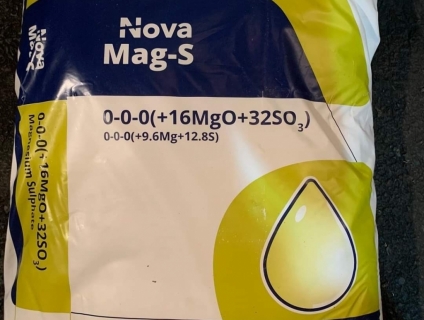 Phân bón MgSO4 ICL - Nova Mag-S