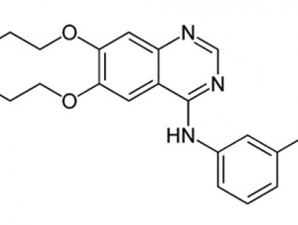 Thuốc Erlocip 150mg – Erlotinib 150mg (Hộp 30 viên) Điều trị ung thư p