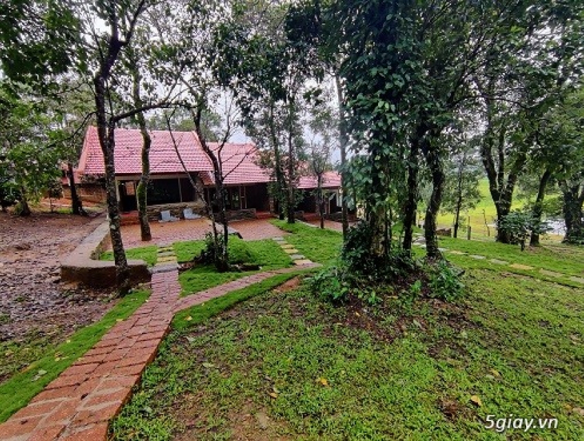 Resorts in Mudigere - Gudlu resort