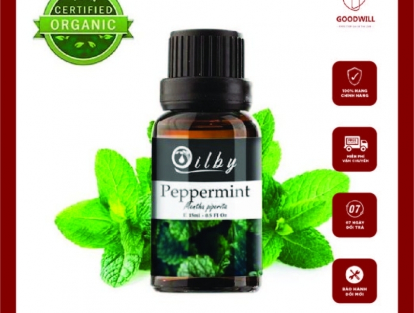 Tinh dầu bạc hà xông phòng Oilby
