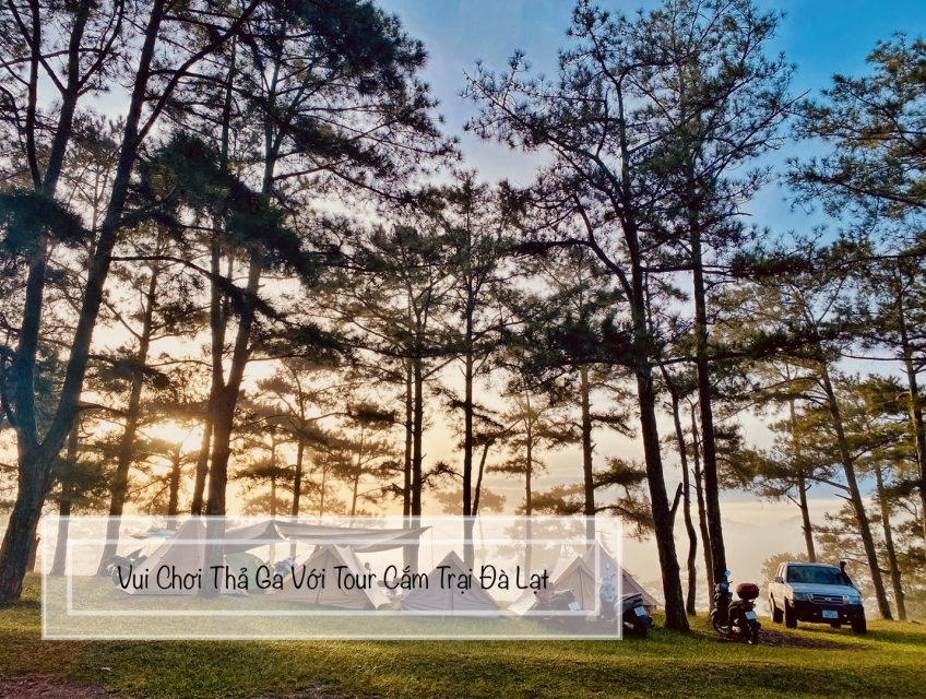 [REVIEW CHI TIẾT] Tour Cắm Trại Đà Lạt 2 Ngày 1 Đêm