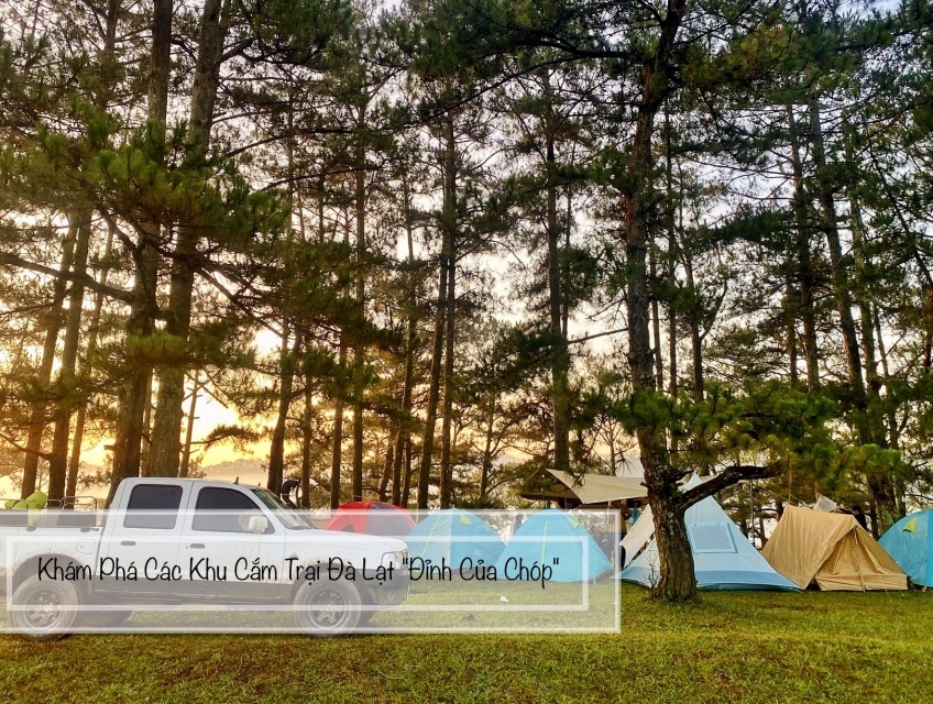 Tập Hợp 6 Khu Cắm Trại Đà Lạt “Đỉnh Của Chóp”