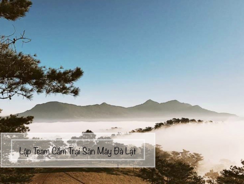 Lập Team Đi Tour Cắm Trại Săn Mây Đà Lạt Cực Đẹp