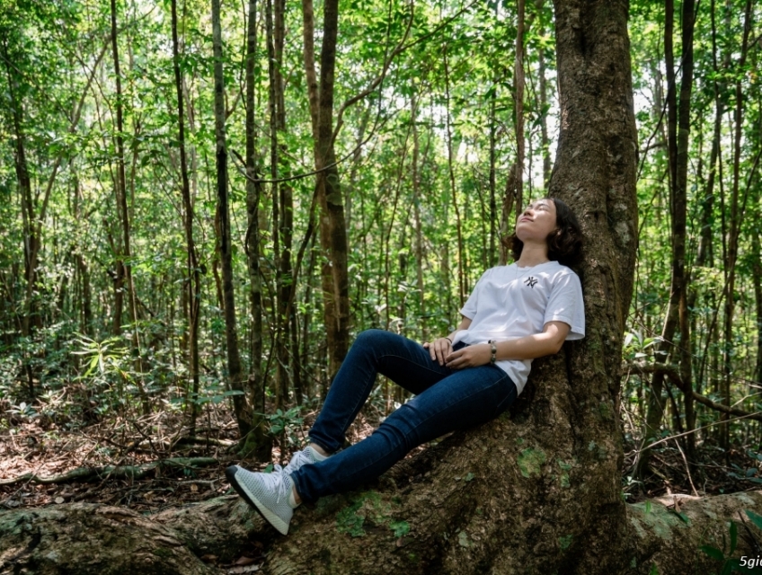 TOUR TREKKING SUỐI RỪNG PHÚ QUỐC