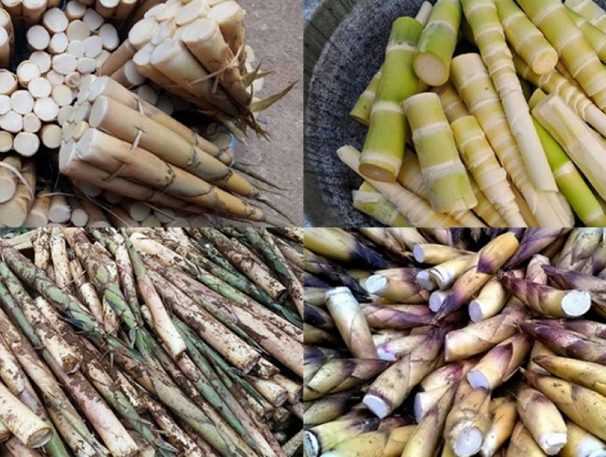 Giới thiệu 1 số loại canh măng phổ biến và địa chỉ bán măng siêu ngon