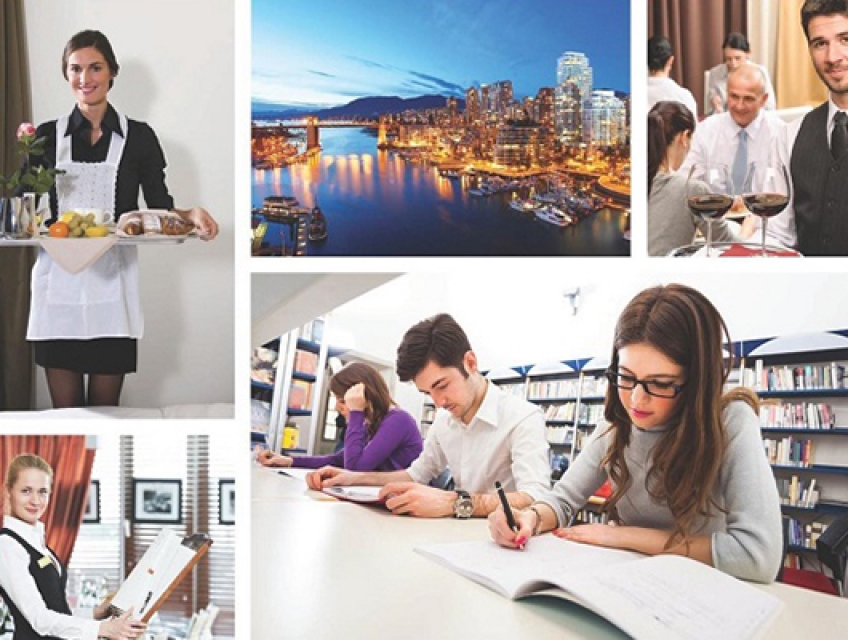 Du học sinh Hàn Quốc nên học ngành gì?