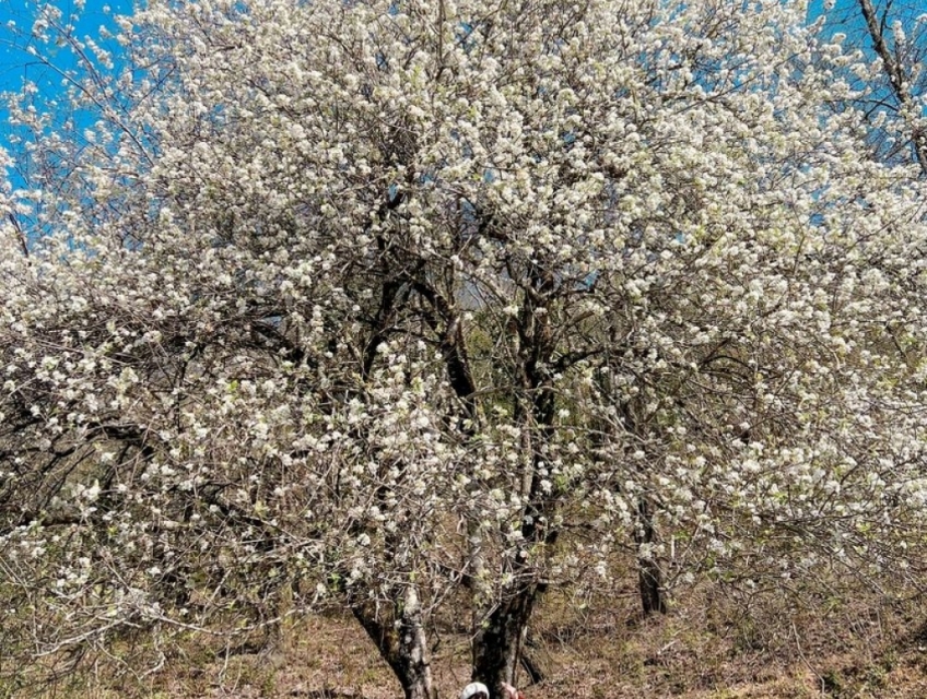 tour du lịch mường la