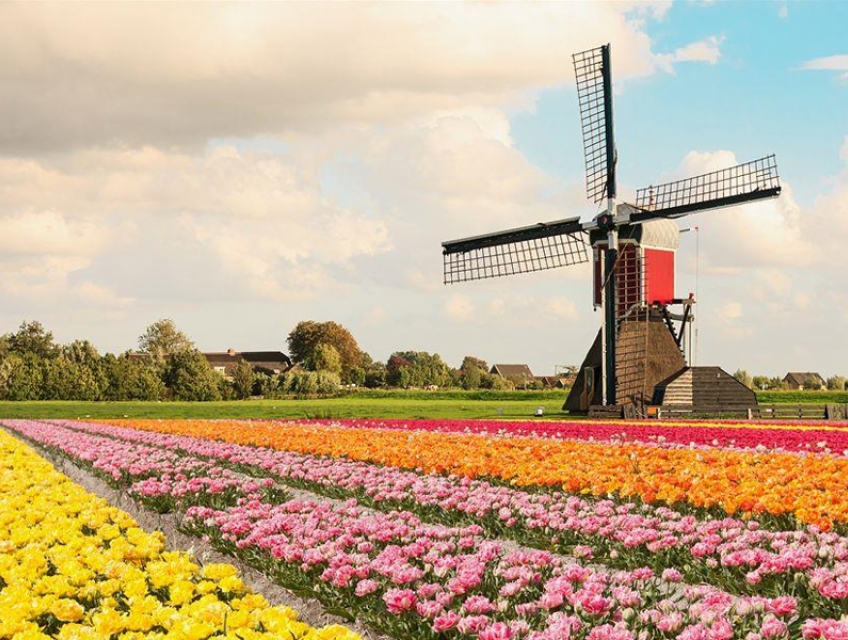 Lạc vào xứ sở thần tiên của "Hoa Tulip” - Du lịch Hà Lan tháng 4