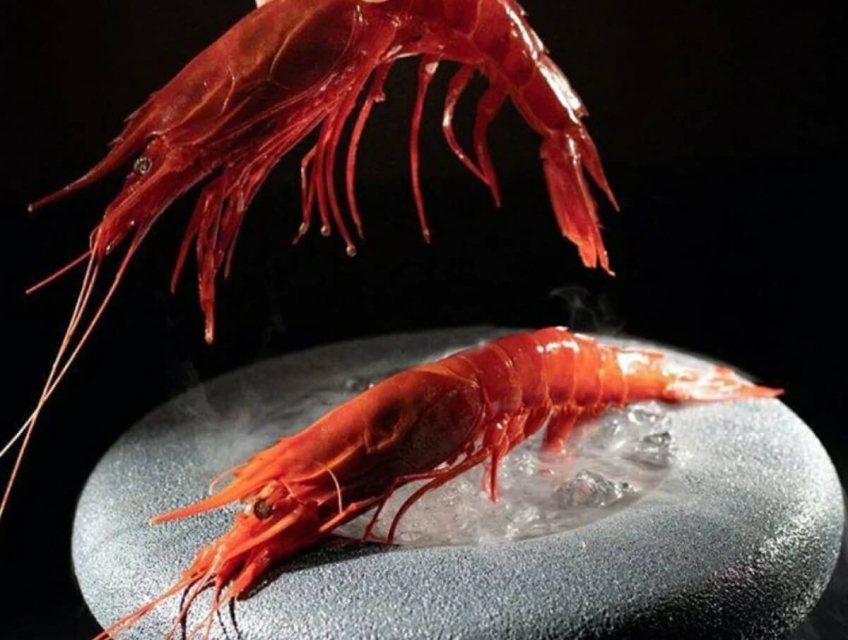 Khám phá hương vị tôm Carabineros