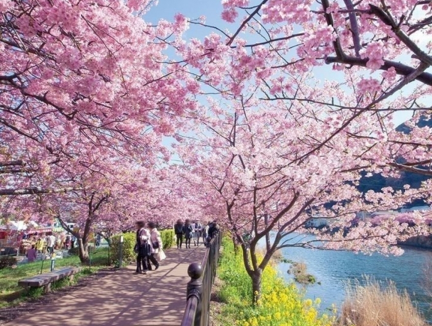 Du lịch Hàn Quốc