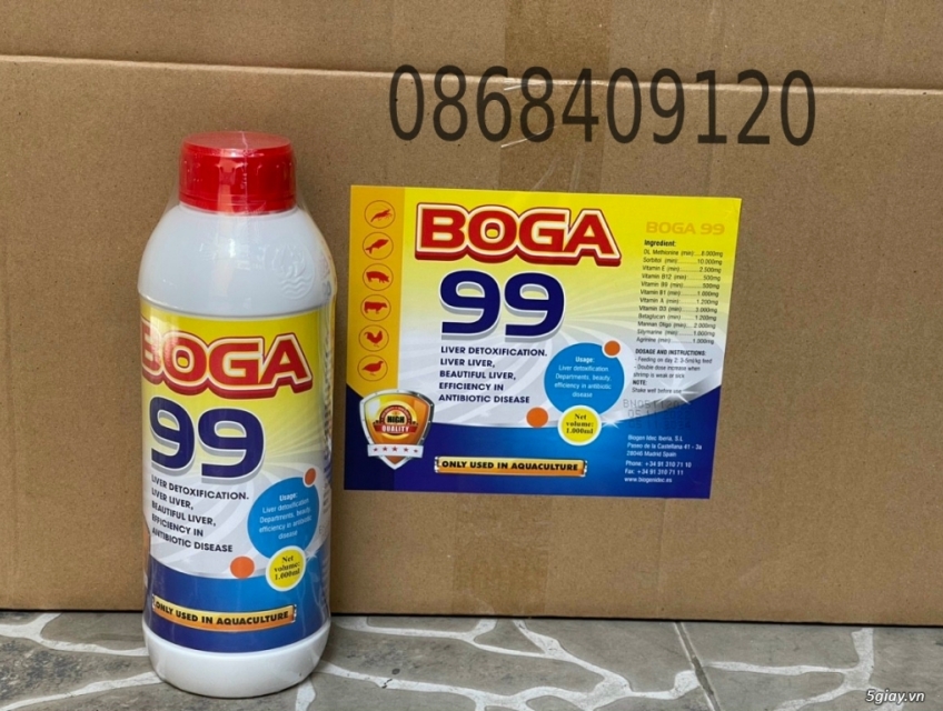 Boga 99