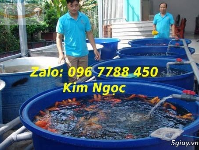 Thùng nhựa chữ nhật 2000 lít nuôi cá koi giá rẻ LHe 0967788450 Ngọc