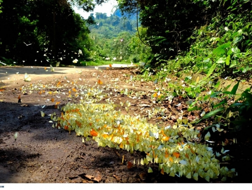 tour du lịch ninh bình