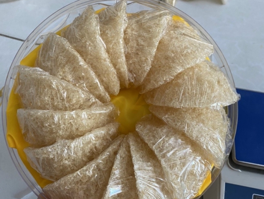 Yến sào nhà nuôi