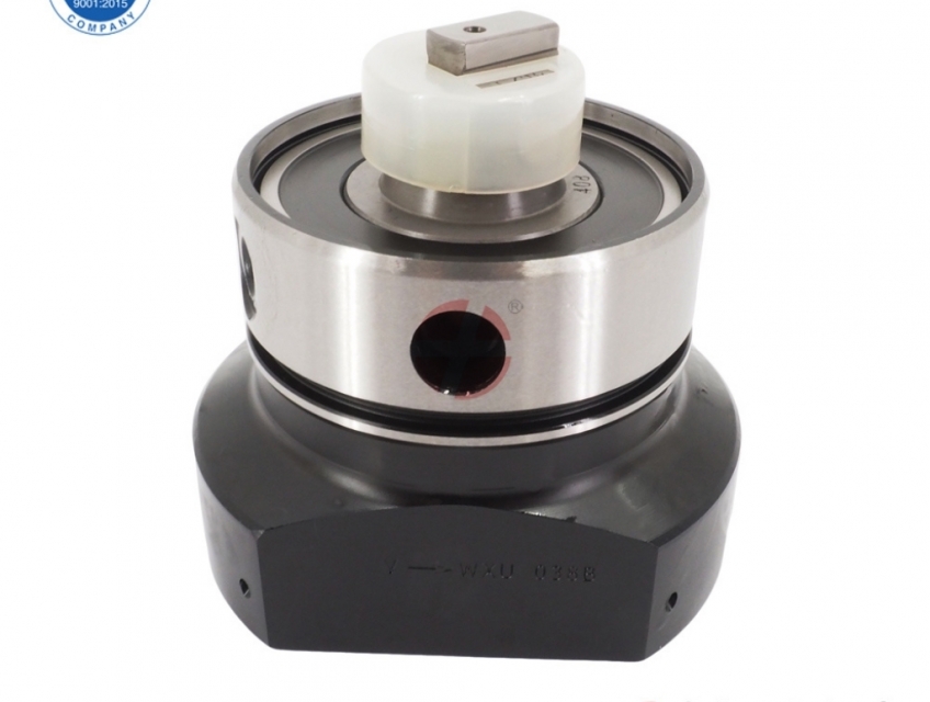 fit for delphi oem parts and delphi pumps diesel