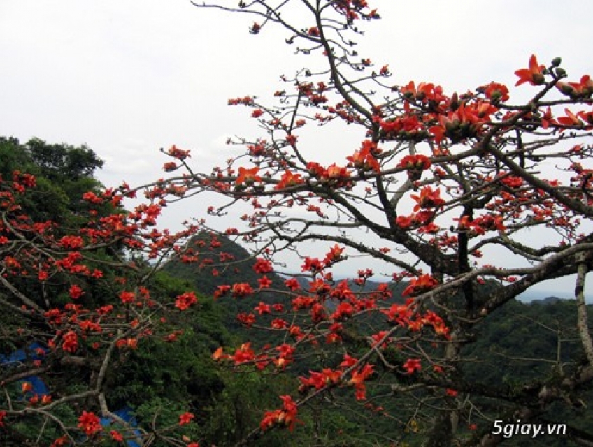tour du lịch hà giang 2 ngày 1 đêm
