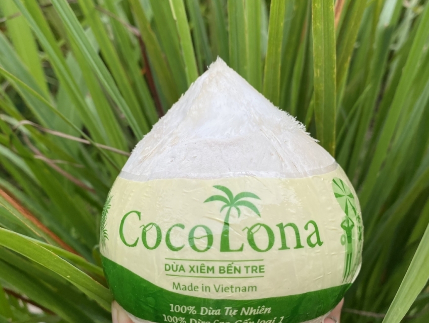 Chuyên dừa gọt kim cương, gọt trọc, ... theo tiêu chuẩn xuất khẩu