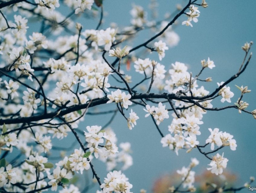 tour du lịch ta xua