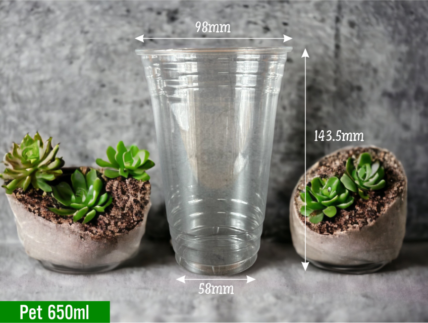 Ly Nhựa PET 650ml Nắp Cầu, Đựng Trà Trái Cây, Đá Xay Mang Đi