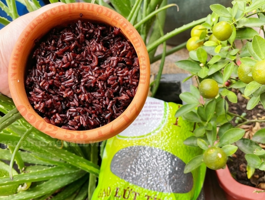 Người Bệnh Tiểu Đường Cần Ăn Gì? Để Không Tăng Lượng Đường Huyết