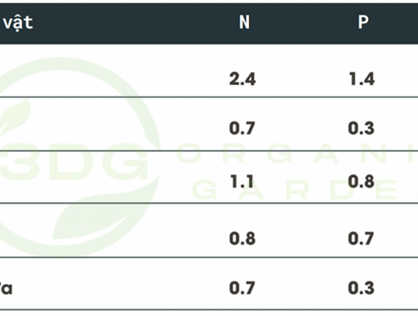 Bí quyết sử dụng phân thỏ để tăng năng suất cây trồng