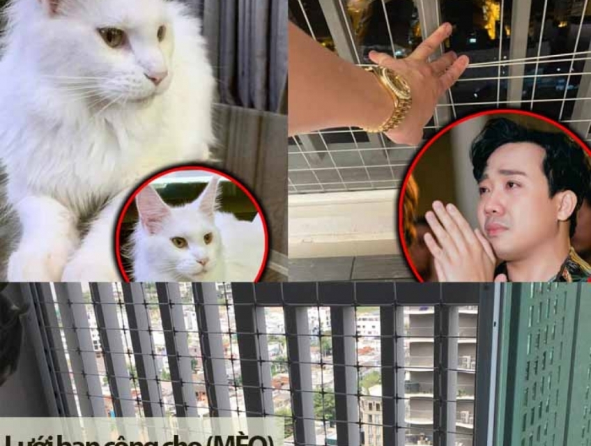 Lưới an toàn ban công chung cư  cho Thú cưng