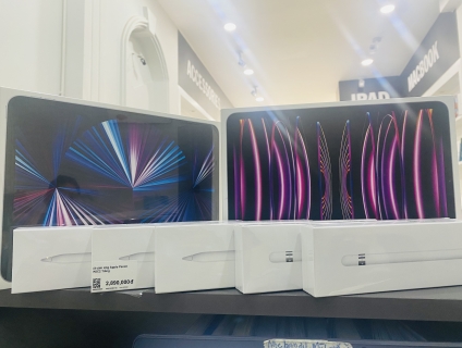 128GB - Wifi - Gray/Silver Newseal