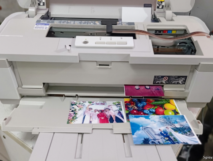 Máy in màu PX1001 hàng nội địa Nhật