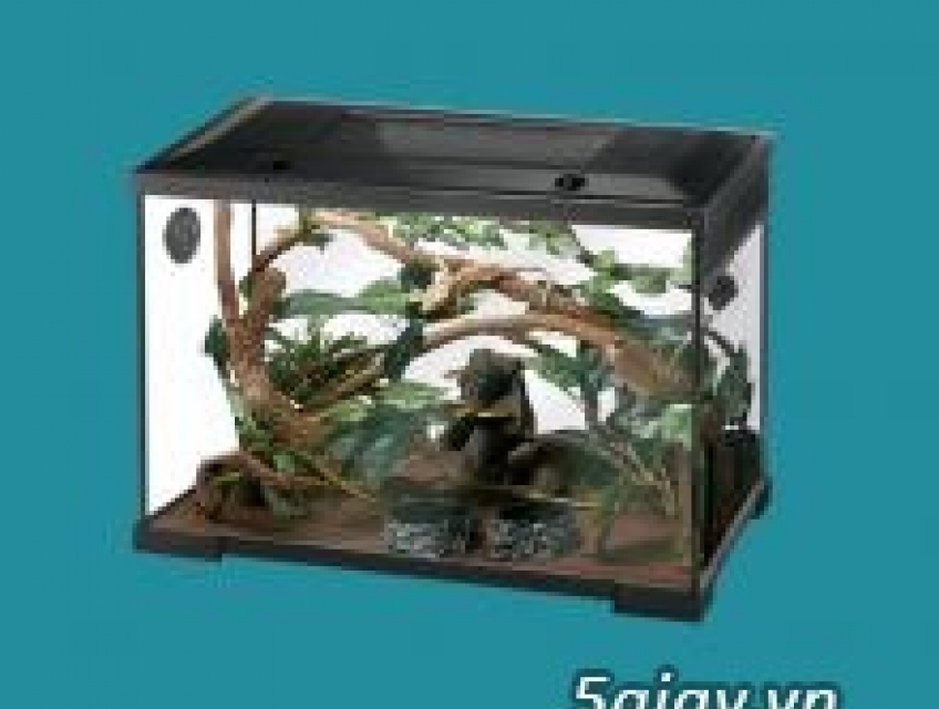 Cung cấp sỉ và lẻ hồ nuôi bò sát.