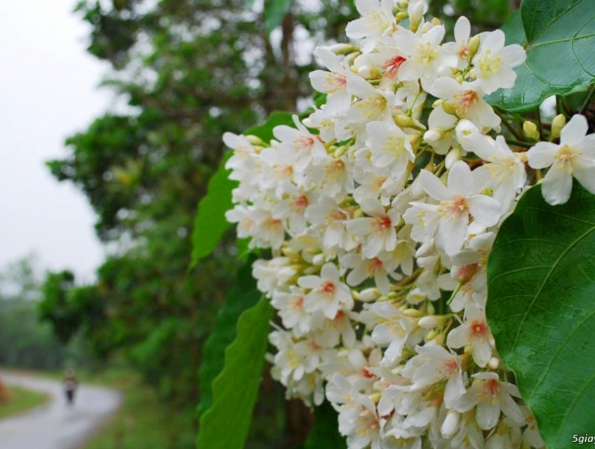 tour du lịch bih liêu 2 ngày 1 đêm