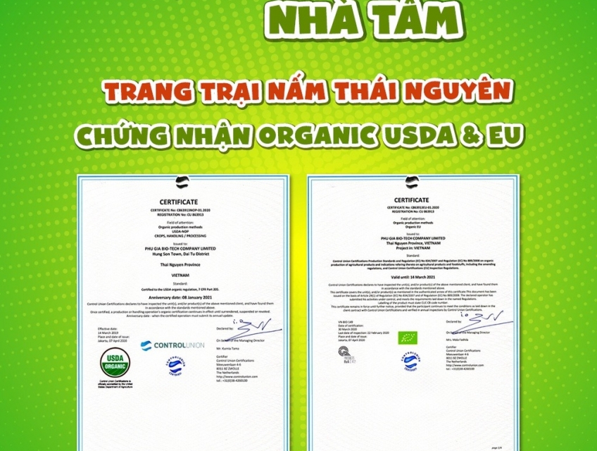 Ăn vặt chay nên ăn gì?