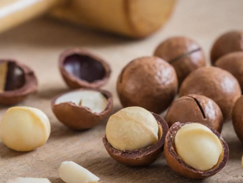 Hạt Macca và những lợi ích không thể thay thế bằng thực phẩm khác