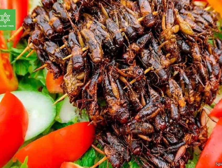 Dế Sấy Cay Giòn