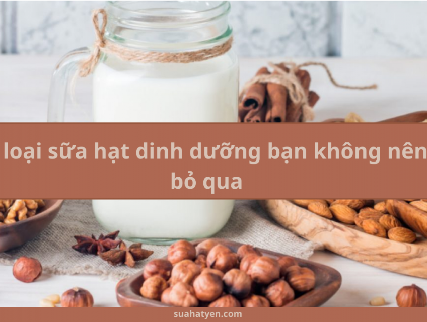 Top 4 sữa hạt dinh dưỡng bạn không nên bỏ qua