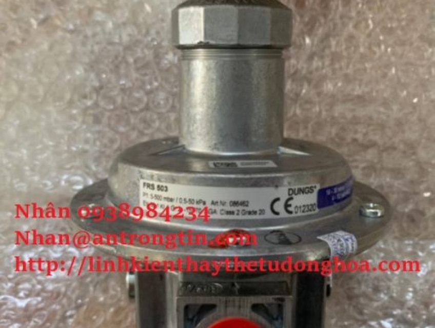 Van Dungs FRS 503: Van điều áp khí gas hiệu suất cao cho công nghiệp
