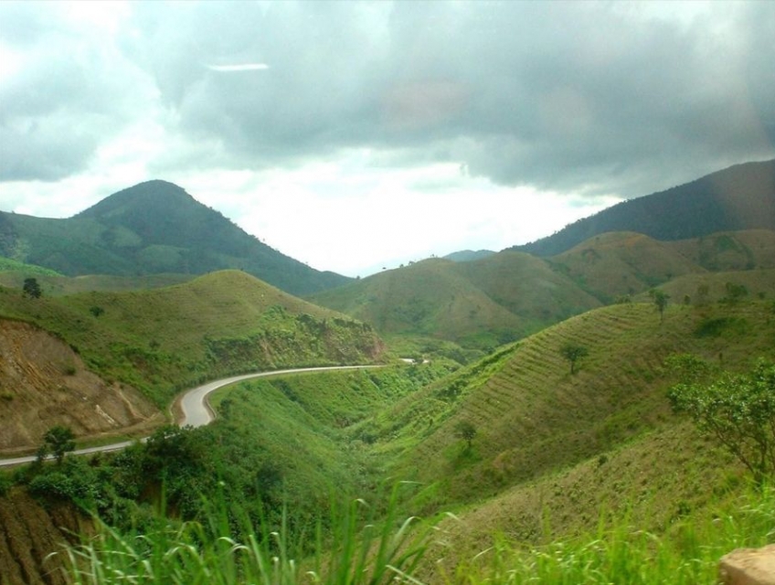 Yến sào Đắk Lắk vùng nuôi chim yến chất lượng Tây Nguyên 2025