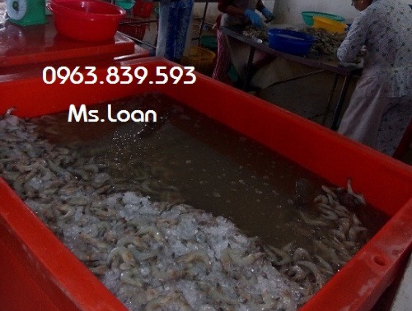 Bán thùng thái 800lit trữ gia cầm,hải sản đông lạnh 0963839593