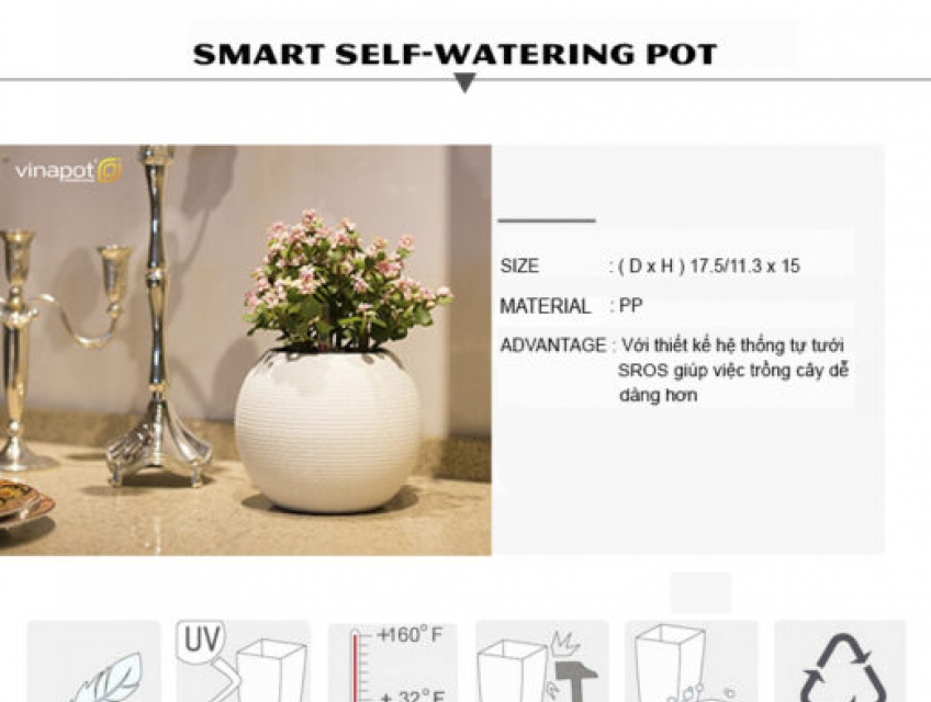 Chậu để bàn tự tưới SROS Carey