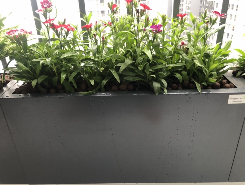 Chậu gỗ nhựa cao cấp Picowood trơn