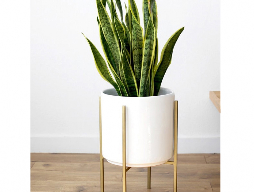 Chậu tưới composite