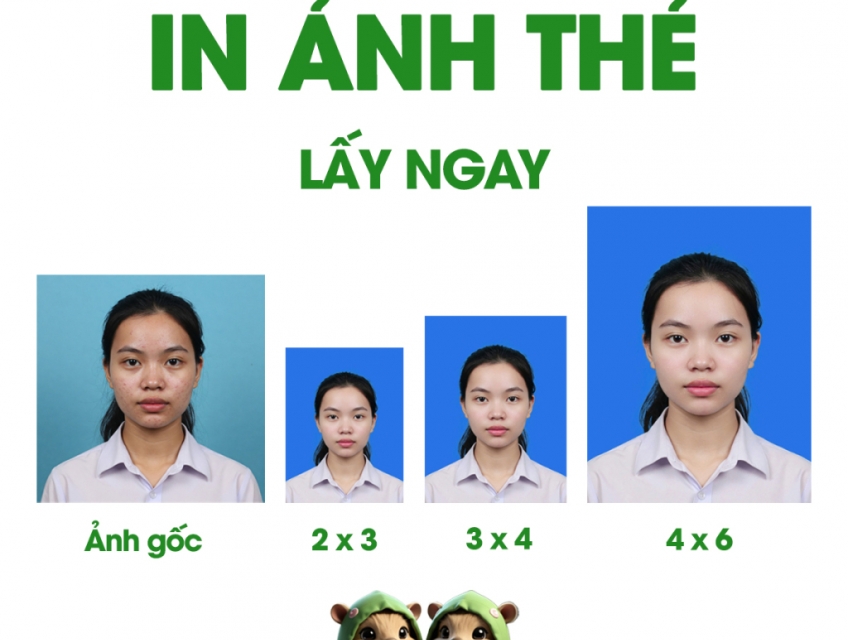 IN ẢNH THẺ LẤY NGAY - CHUẨN ĐẸP, GIÁ TỐT TẠI PHOTOCOPY GẦN ĐÂY