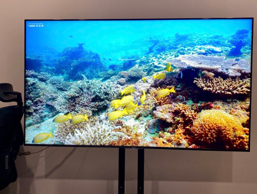 Smart Tivi Sony 4K 75 inch